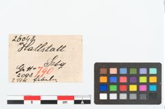 Etikett zu Bronzeschleifenbügelfibel (NHMW-PRAE-026048)